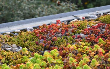 the cost of Beddington green roof installation