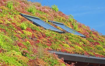 Beddington living roof systems