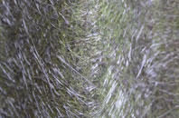 Beddington fibreglass roof work